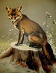 Jagdscheibe Fuchs