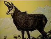 Jagdscheibe Gemse