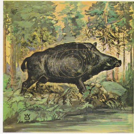 Jagdscheibe Wildschwein